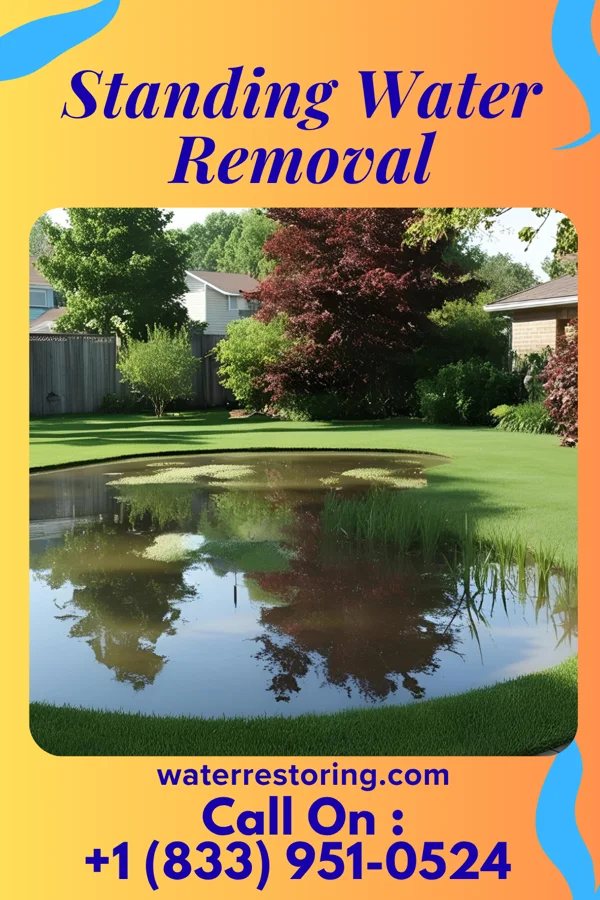 Standing Water Removal in Gering, NE